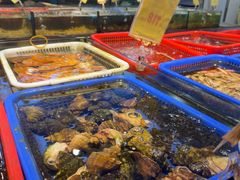 -新金盛·海鲜酒楼(盐田店)