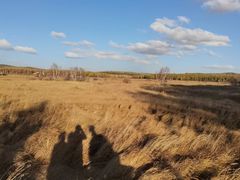 -塞罕坝国家级自然保护区