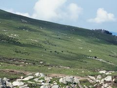-灵山