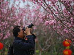 -天适樱花悠乐园