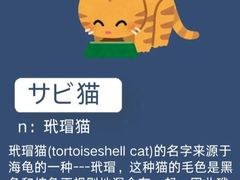 -樱花国际日语(人广中心)