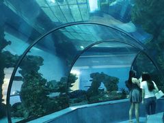 -乐从天佑城海洋馆