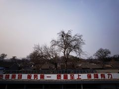 -上海老饭店(北京分店)