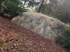 -后襄河公园