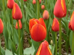 -重庆动物园·东二门售票处