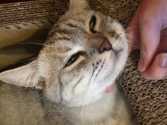 -H立方实景剧情密室(天河旗舰店)