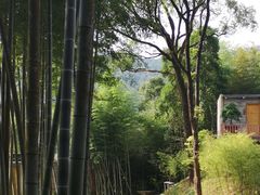 -大余丫山旅游度假区