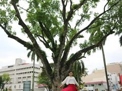 -槟城街头艺术街区