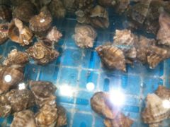-良师门滨海人家·海鲜·家常菜(滨海城店)