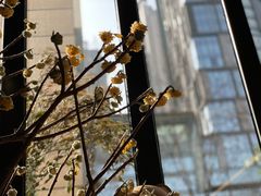 -PlantsEatery·植物食堂(REX春熙店)