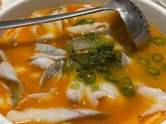 藤椒金汤鱼片-榕意·川味之美(深业上城店)