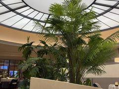 -狮王府淮扬菜(万象城店)