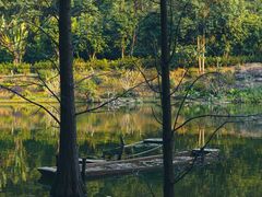 -深圳仙湖植物园