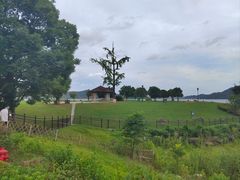 -余姚四明湖开元名都度假酒店·夏威夷西餐厅