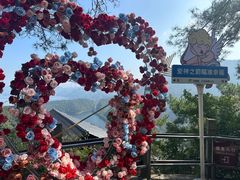 -千岛湖希尔顿休闲艇俱乐部