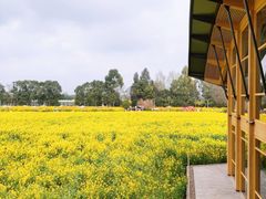 -中国天府农业博览园