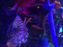 -沈阳海洋探索中心