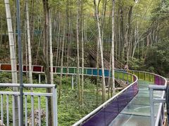 -杭州灵山景区