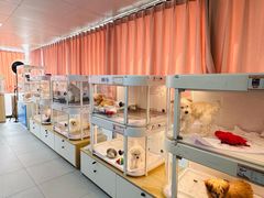 -翊宠yipet猫狗购宠庄园犬舍•猫舍