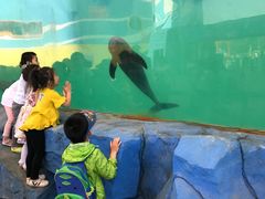 -北戴河圣蓝海洋公园