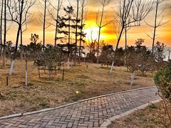 -青岛海滨风景区