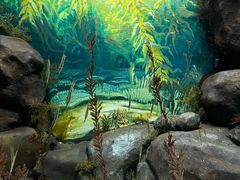 -上海海洋水族馆