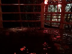 -天门沟九州驿站树上汤泉