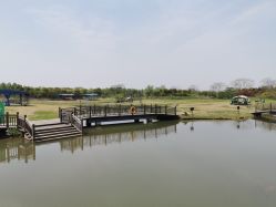 -水八仙生态园