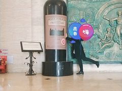 -北京张裕爱斐堡酒庄