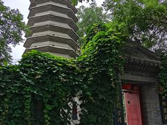 -万松老人塔