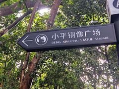 -莲花山公园