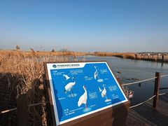 -盐城丹顶鹤湿地生态旅游区