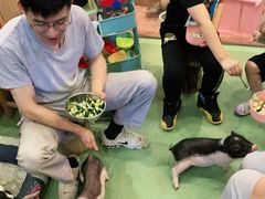 -藦茜花园宠物主题亲子互动体验馆(国顺东路店)
