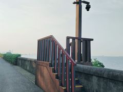 -上海滨江森林公园