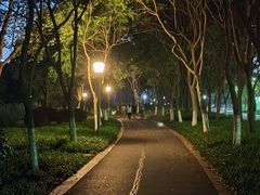 -尚贤河湿地
