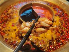 -哥老官重庆美蛙鱼头(宝山龙湖店)