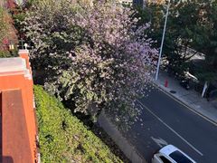 -小南山公园
