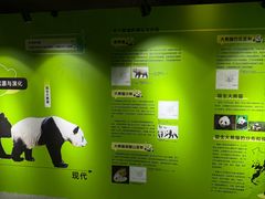 -湖南省地质博物馆