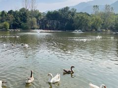 -西安秦岭野生动物园
