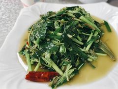 -元谋凉鸡店(百年老店)