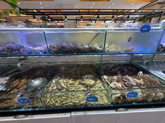 -四海蒸鲜蒸汽海鲜自助(北戴河店)
