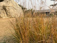 -汉长安城未央宫国家考古遗址公园