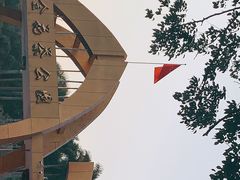 -金花茶公园