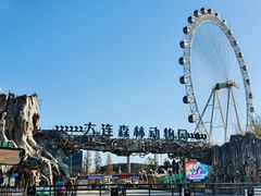 -大连森林动物园