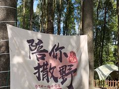 -花溪公园
