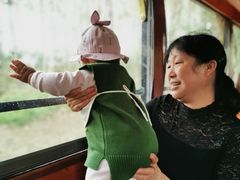 -合肥滨湖国家森林公园