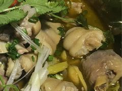 猪蹄-陈三娃泡姜鸡(太白北路店)