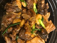 -鸽王世家(东华东路店)