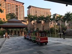 -三亚湾红树林度假世界(木棉酒店)