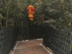 -红螺寺